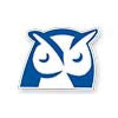 Wise Agent LOGO